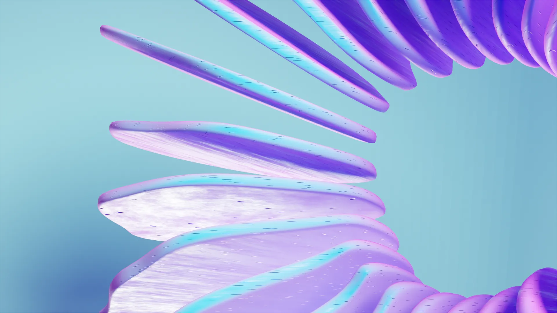 vivd_2